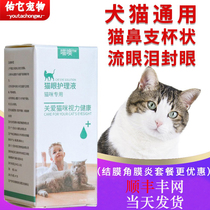Kitty Eye Drops Pet Eyedrops Seal Eyedrops Pussy Cats Go To Tears With Red Swollen Keratoconjunctivitis Nasal herpes