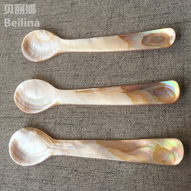 Natural Colorful Shells Spoon Creative Home Accessories Coffee Caviar Caviar Restaurant Seasoned Hotel Mother Bay Crafts