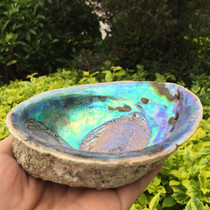 Abalone shell big conch creative home craft accessories lucky ornaments fish tank aquarium aquarium landscape sage equipment