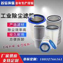 Six-ear quick disassembly dust collector filter element shot blasting machine laser cutting machine spraying plastic coating flame retardant anti-static filter cartridge