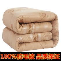 驼毛被%驼绒冬被加厚保暖羊毛被春秋冬10斤宿舍被芯棉1213y