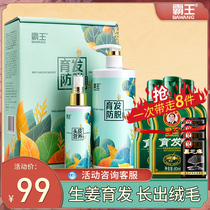 Overlord anti-hair loss shampoo hair development liquid for men and women to grow hair and increase hair density Ginger side Baiye flagship store official website