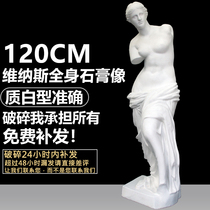 120cm Venus full-body plaster like large ornaments sculpture decoration art teaching aids sketch sketching model