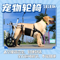 Dog paralysis wheelchair car Golden retriever hind legs disabled scooter Large elderly dog auxiliary bracket does not defecate by mistake