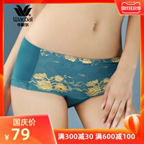 Huagol Wacoal gorgeous lace comfortable cotton ammonia boxer underwear WP2518