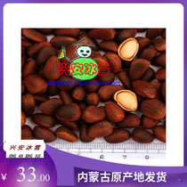 () Boiled cedar pine nuts do not open skin thin kernels full like eating melon seeds 250 grams
