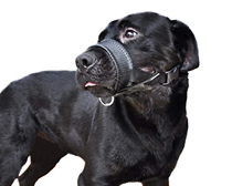 Labrador anti-bite and anti-dog barking dog training mouth sleeve medium and large dog explosion-proof pet mask to prevent garbage