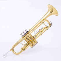 Professional flagship store B- flat trumpet musical instrument phosphor copper blow tube trumpet beginner trumpet musical instrument three-tone trumpet