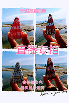 Full 38 natural sea snail shells host crab for shell-changing roll befish to hide from the nest fish tank for the decoration