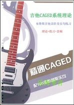 Guitar CAGED system and blues scale phrase practice Solo improvisation scale application py