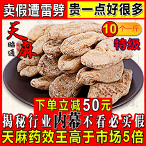Yunnan Zhaotong Xiaocaoba pure natural imitation wild planting black dry goods Tianma 500g fresh can replace sliced grinding powder
