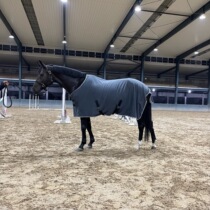 Rocking grain suede horse dressing room Neymar winter tether equestrian items horse equipped horseback riding kannarrima