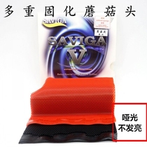 New Yu-Liang Mushroom Head Curing Savika Pellet Long glue rubber rubber rubber rubber rubber rubber rubber rubber rubber rubber mushroom head does not bright and arc sink and strange