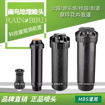 US imported Rainbird buried rotating scattering nozzle garden villa lawn telescopic buried nozzle