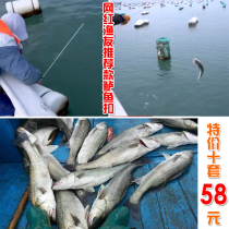 A Feng to catch the sea pole Net red bass buckle Rod Luyu fishing hook accessories new store 1000 special offers
