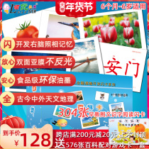 Leading Duman flash card literacy encyclopedia card baby early education whole brain development right brain memory training full set of teaching aids