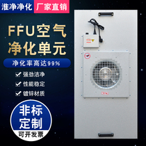 Industrial FFU High efficiency air filter Sterile room dust-free workshop Fan 100-level laminar flow hood purification filter