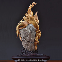 Taihang Thuja Root Carving and Aging Dharma Guanyin Miller Town House