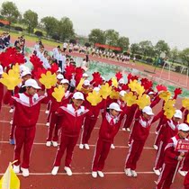 Competition hand flower primary school sports meeting supplies props ceremony kindergarten sunflower performance hand flower color change