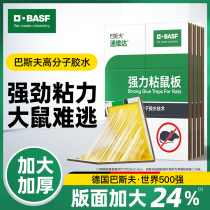 German BASF Powerful Rat Stickup Rat Board Household Big Rat ends up enticing the mousetrap