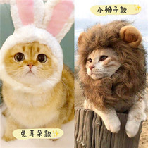 Douyin pet dog cat lion head cover cute funny cat lion head hat headgear dress up supplies