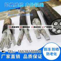 National standard aluminum core cable 2 core 3 core 5 core 6 square to 50 square protective sleeve line overhead line buried special aluminum wire