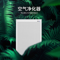 Smart Air big fat FFU air purifier except foggy haze formaldehyde purifier FFU industrial grade