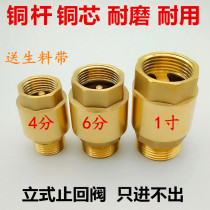 Brass vertical check valve tap water pipe water meter water pump check valve 4 minutes 6 minutes 1 inch inner and outer wire check valve