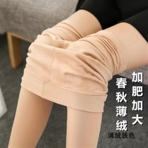 Wear autumn and winter plus velvet thin crotch plus size pantyhose plus fattening pantyhose spring and autumn fat mm medium thickness womens socks