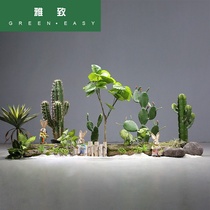 Large simulation Cactus Cactus column potted landscaping plant indoor large green plant window landscape decoration set