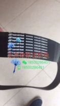 Paulette special belts BLT-20A 8 1625164324