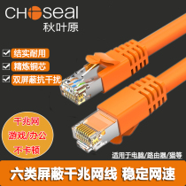Akihabara Class 6 Network Wire Home 6Gigabit Pure Copper 10 Computer Router Broadband Network Wire 20 m Double Shielding 5