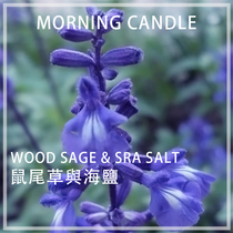 Sage and sea salt fragrance DIY aromatherapy plaster scented candle expanded essential oil handmade material