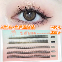 Type a fairy hair fish tail hair mixed Yu Shuxin false eyelashes supernatural simulation single cluster segmented grafting C
