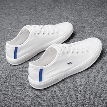 Sails Shoes Mens Summer Breathable Deodorant Slim SOFT BOTTOM CASUAL BOARD SHOES WAVE SHOES YOUTH SPORT 100 HITCH WHITE SHOES MAN