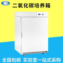 Biological Constant Temperature Culture of CO2 Incubator Cells in CRH Carbon Dioxide Incubator of Shanghai Yiheng BPN-40RHP