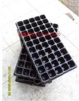 Barley worm pupation disc protein worm Bread worm seed worm pupation special thickened 110 grams of heavy tablets