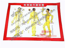  HD version of the human body meridian acupoint large wall chart Traditional Chinese medicine acupoint chart Ears feet hands body standard buried thread teaching