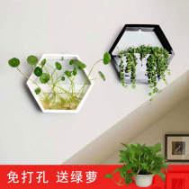 Home Living Room restaurant wall decoration wall pendant hydroponic plant green rose Creative Wall Wall flower pot hanging wall green plant