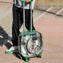 Pet Pull Lever Box Kitty goes out to carry Bubble Box Transparent Space Doggy Doggy to go out Double shoulder backpack bags