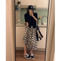 Shan Shan 3 brother (Miss Steng) Korean version of the super wild elastic waist flocking skirt A word thin floral