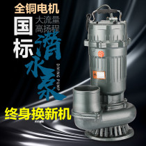 Sewage pump 380V three-phase pump for agricultural irrigation 40 meters 3 high head 1 large flow 4 inch 2 submersible pump 220V