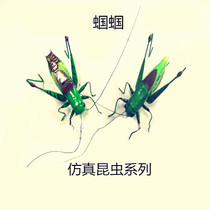 Simulation insect grasshopper clay insect simulation animal insect model Insect refrigerator sticker