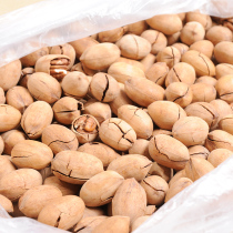 New goods are called Bigen fruit 2kg 5kg thin shell snack nuts specialty pecan fried longevity fruit