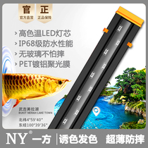 One side of the Dragon Fish Magic Lamp fish tank colorful diving light ultra-thin led aquarium light golden red dragon special hair color lamp