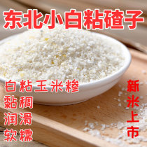 White sticky corn grits new rice 5kg small ballast northeast farmhouse self-produced sticky glutinous bract stubble coarse grain porridge
