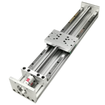 SR100 Ball screw slide table Double line rail Linear precision guide Cross module Slide table module