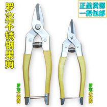 Authentic Luoding stainless steel fruit scissors picking sugar orange special fruit scissors round head small rhubarb scissors orange scissors