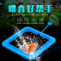 Fish food floating ring fish feeding ring aquarium fish food fish food feeding ring feeding ring feeding ring feeder feeding ring feeder