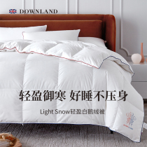 DOWNLAND DOWN Quilt 95 White Goose Down Winter Quilted Warm Winter Hotel Single Double Quilt Covet Quilted Quilt